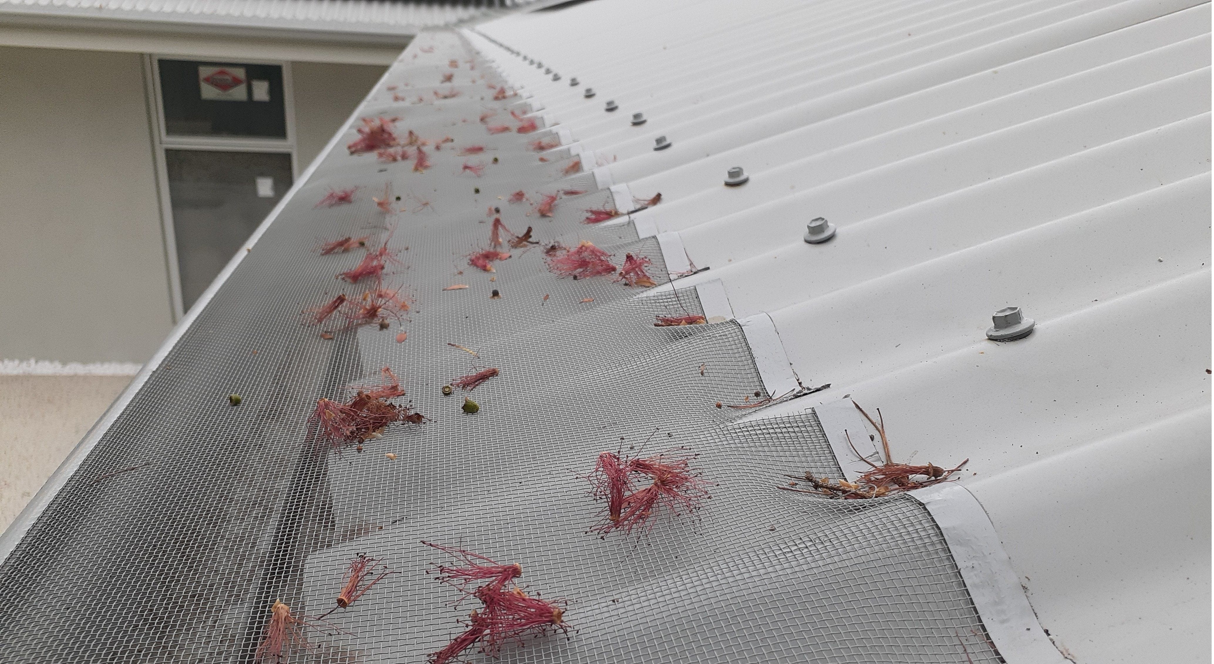 Aluminium Leaf Frre Gutter Guards installed on a tin/Colorbond Roof in Perth